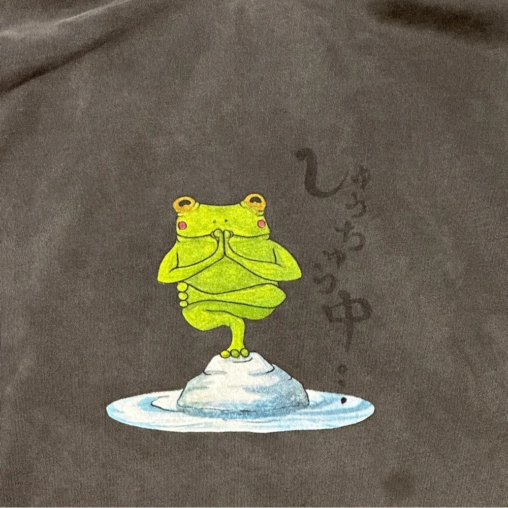 Umi Frog Sweatshirt Washed Black Size X-large